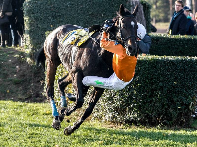 Sertash Ferhanov ve 125. Velké pardubické. Nechtěl dolů, nechtěl... Ale musel.