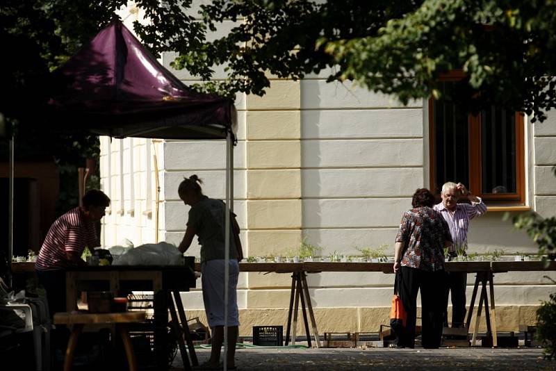 TŘI STOVKY ROSTLIN. Na výstavě byly k vidění desítky neřesků a dalšíéch rostlin.