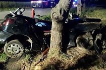 Tragická nehoda u Žáravic. Auto se čtyřmi mladými muži narazilo do stromu. Jeden z nich nehodu nepřežil.