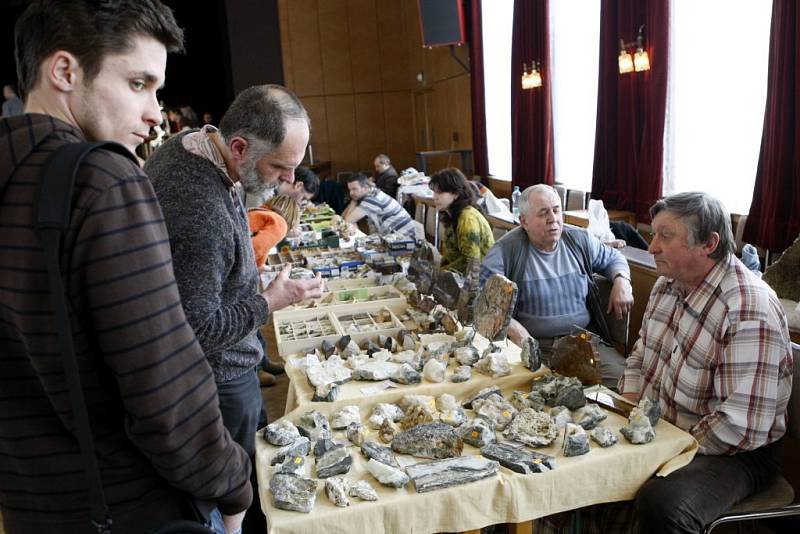 Mezinárodní výstava kamenů, šperků z nich i zkamenělin v Pardubicích