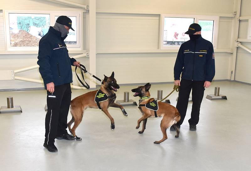 V březnu museli psi z "covid týmu" i s psovody do karantény kvůli britské mutaci.