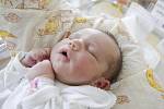 Ema Hronková se narodila 21. března dvě minuty po půlnoci. Měřila 48 centimetrů a vážila 3490 gramů. Maminku Milenu u porodu podpořil tatínek Honza a doma budou v Ostřešanech.