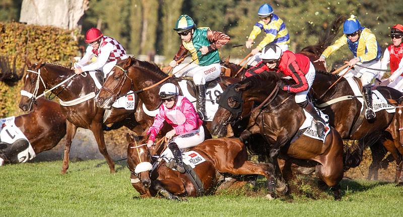 Vítězem 129. Velké pardubické se Slavia pojišťovnou na pardubickém dostihovém závodišti se stal Theophilos s Josefem Bartošem.