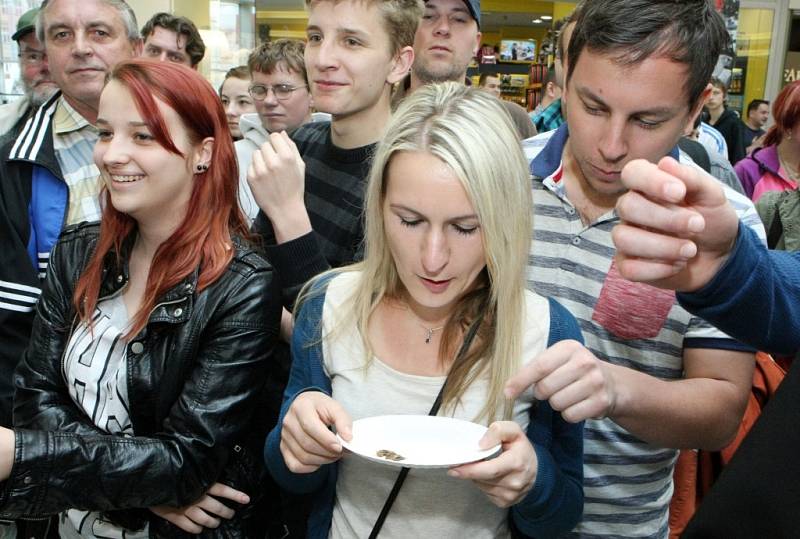 Druhý ročník Apetit festivalu v Pardubicích. Je libo hmyzí lahůdky?