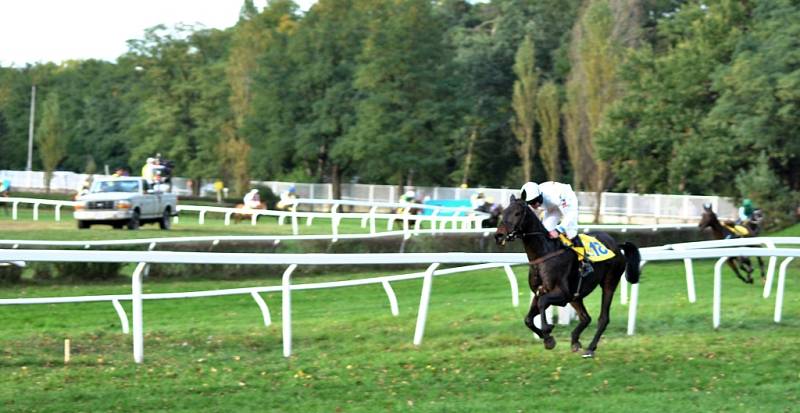 122. Velkou pardubickou vyhrála stylem Start - Cíl klisna Orphee des Blins