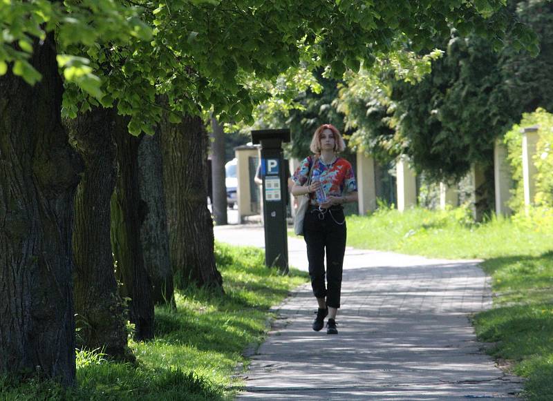 Stovky lidí vyrazili na procházku bez respirátoru, na výlet na kolech nebo jen tak posedět po nákupech do parku. Tyršovy sady i park Na Špici v Pardubicích byly doslova v obležení.