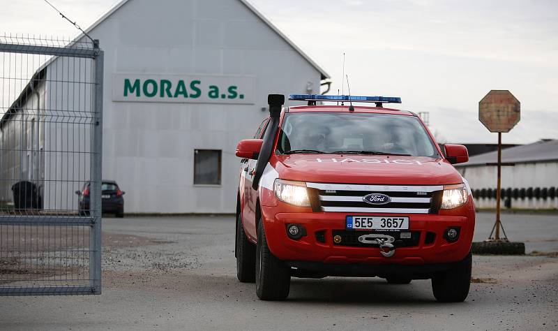 V Česku je druhé ohnisko ptačí chřipky. Nemoc se objevila v komerčním chovu Moras Moravany ve Slepoticích na Pardubicku.