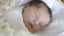Tereza Dovolilová se narodila 13. května ve 23:23 hodin. Měřila 50 centimetrů a vážila 3170 gramů. Maminka Dita a tatínek Jan jsou z Pardubic.