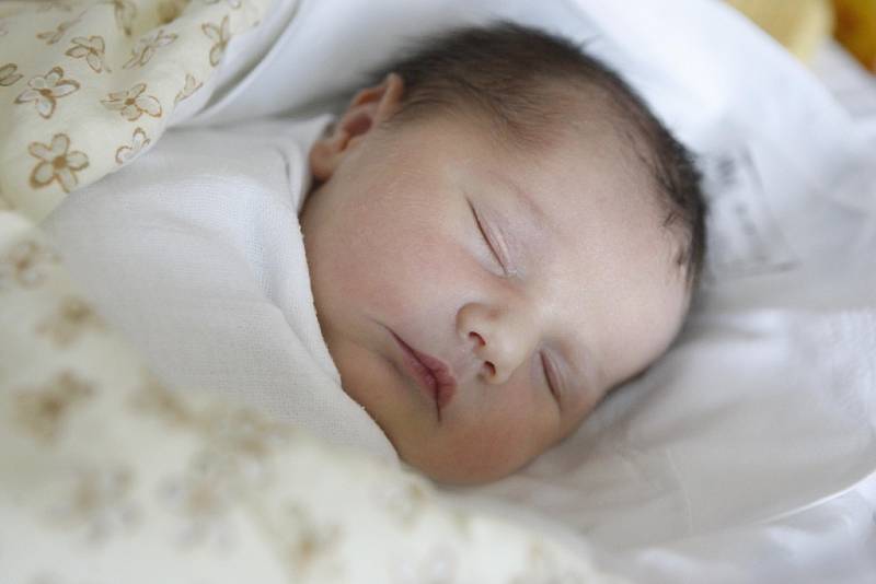 Tereza Dovolilová se narodila 13. května ve 23:23 hodin. Měřila 50 centimetrů a vážila 3170 gramů. Maminka Dita a tatínek Jan jsou z Pardubic.