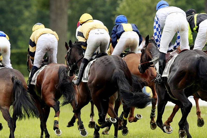 Sobotním Zlatým pohárem Chládek a Tintěra Pardubice a.s., klasickou steeplechase kategorie Listed na 5000 metrů, byla uzavřena první polovina letošní pardubické dostihové sezóny.