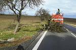 U Poličky odstraňovali hasiči strom spadlý do vozovky. 