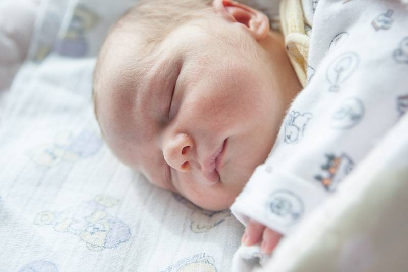 Alexandru Rotariu se narodil 12. dubna ve 14:31 hodin. Měřil 51 centimetrů a vážil 3630 gramů. Maminku Hanu u porodu podpořil tatínek Alexandru. Rodina je doma v Pardubicích.