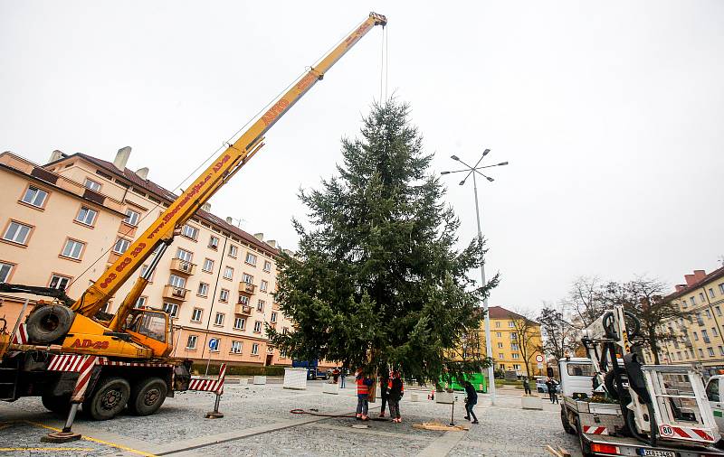 Převoz vánočního stromu, tentokát jedle douglasky, na Dukelské náměstí ze Starých Ždánic. Měří 13 metrů a váží zhruba 850 kilogramů.