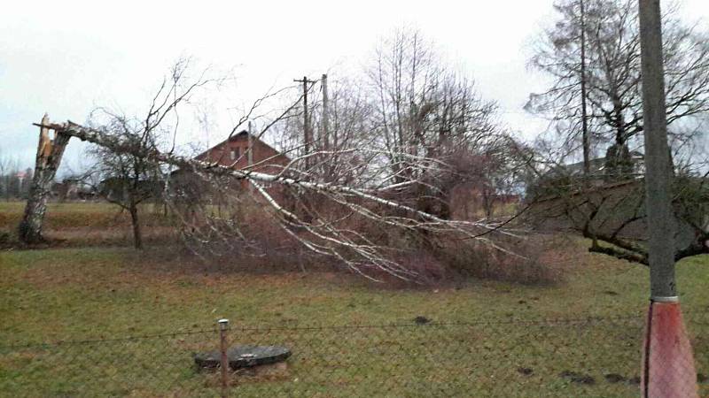 Nedělní silný vítr v Pardubickém kraji. Lámal stromy, došlo i na elektrické sloupy.