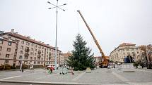 Převoz vánočního stromu, tentokát jedle douglasky, na Dukelské náměstí ze Starých Ždánic. Měří 13 metrů a váží zhruba 850 kilogramů.