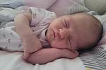 Nela Křepelová se narodila v neděli 24. 7. 2022 ve 13.19 hodin v orlickoústecké porodnici. Vážila 2980 g a měřila 48 cm. Šťastní rodiče Adéla a Jan Křepelovi ze Solnice.