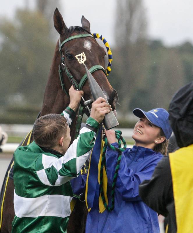 Velká pardubická 2017. 