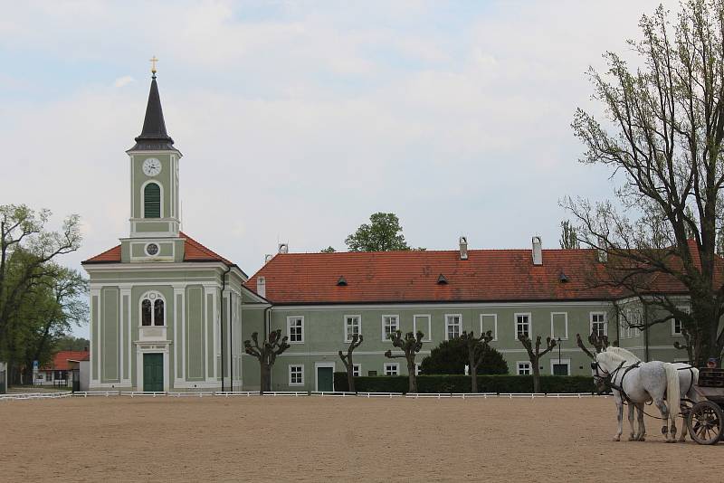 Národní hřebčín Kladruby nad Labem