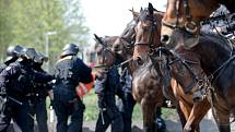 Policisté krajské pořádkové jednotky Pardubického kraje nacvičovali spolupráci s jízdním oddílem pražské policie.