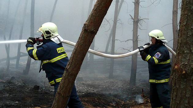 Požár zachvátil několik desítek metrů čtverečních lesního porostu