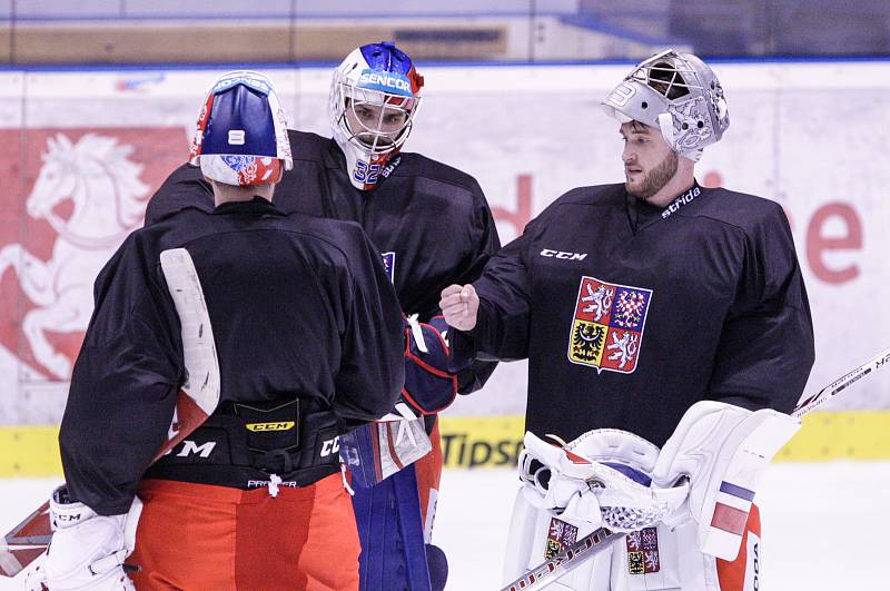 Trénink České hokejové reprezentace před Carlson hockey games v pardubické Tipsport areně.