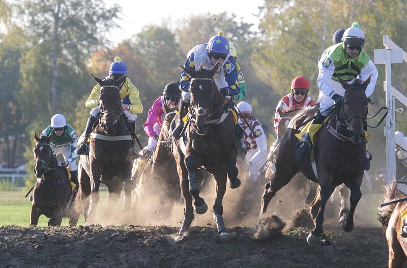 128. Velká pardubická s Českou pojišťovnou.