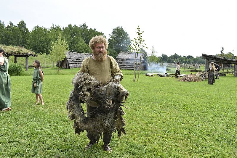 V Keltském skanzenu v Nasavrkách se v sobotu stříhaly ovce pérovým nůžkami.