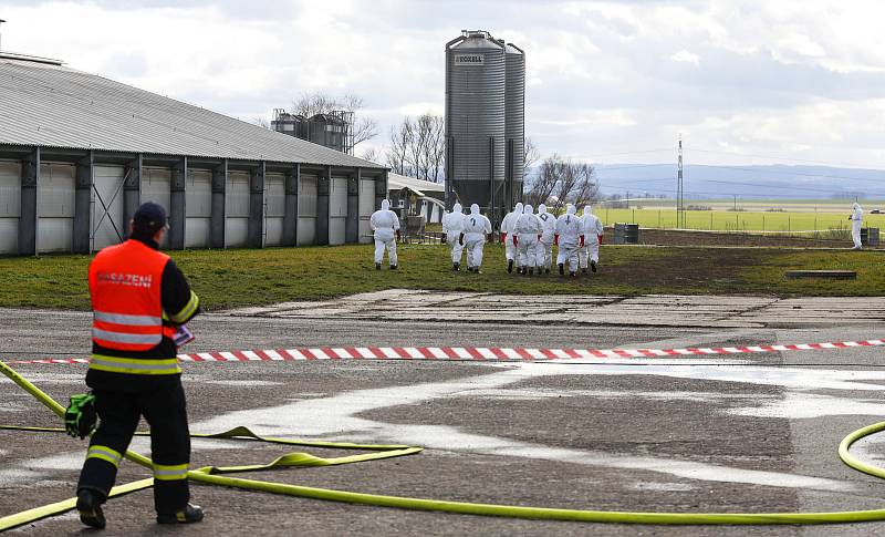 V Česku je druhé ohnisko ptačí chřipky. Nemoc se objevila v komerčním chovu Moras Moravany ve Slepoticích na Pardubicku.