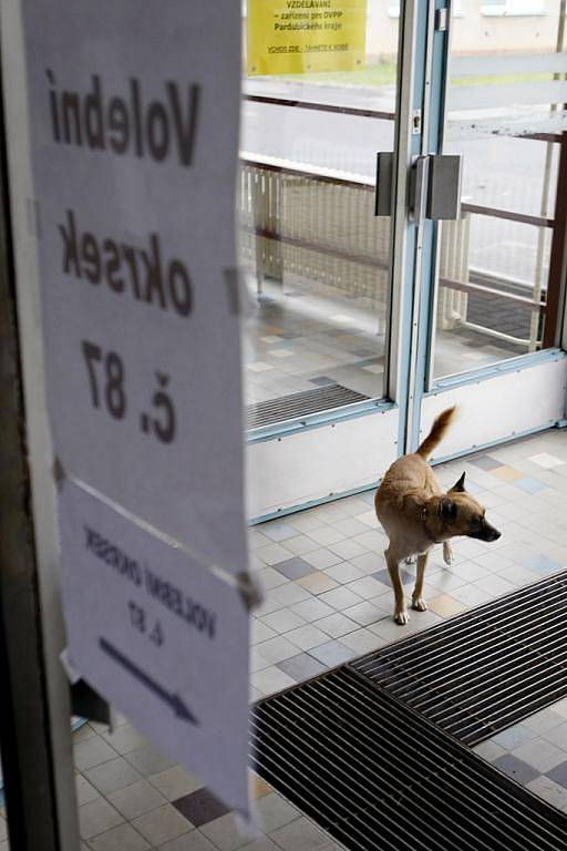 Ve 14:00 hodin byly otevřeny volební místnosti. V pátek a v sobotu si po čtyřech letech zvolíme vedení radnic a obecních úřadů. A ve třech východočeských obvodech také nové senátory. 