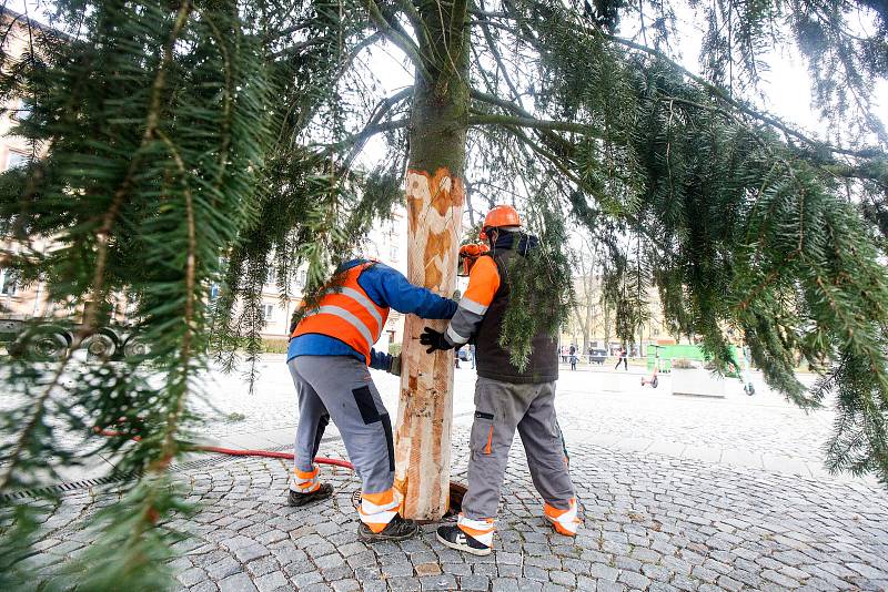 Převoz vánočního stromu, tentokát jedle douglasky, na Dukelské náměstí ze Starých Ždánic. Měří 13 metrů a váží zhruba 850 kilogramů.