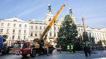 Pardubice už mají svůj vánoční strom na Pernštýnském náměstí.