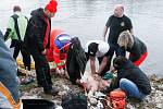 Zkolabovaného plavce museli záchranáři na břehu resuscitovat.