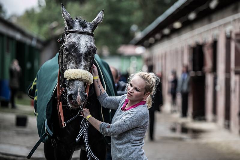 Velká pardubická je sportovní událostí i společenským svátkem.