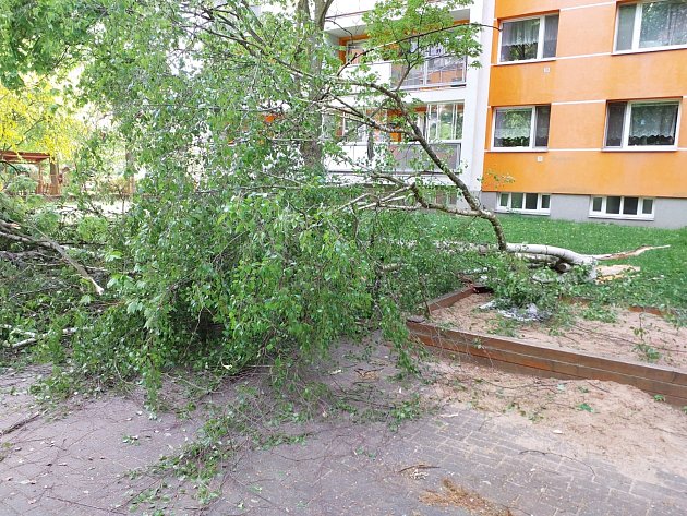 Strom spadl na hřiště v Polabinách. Větve zasáhly ženu, děti stihly utéct