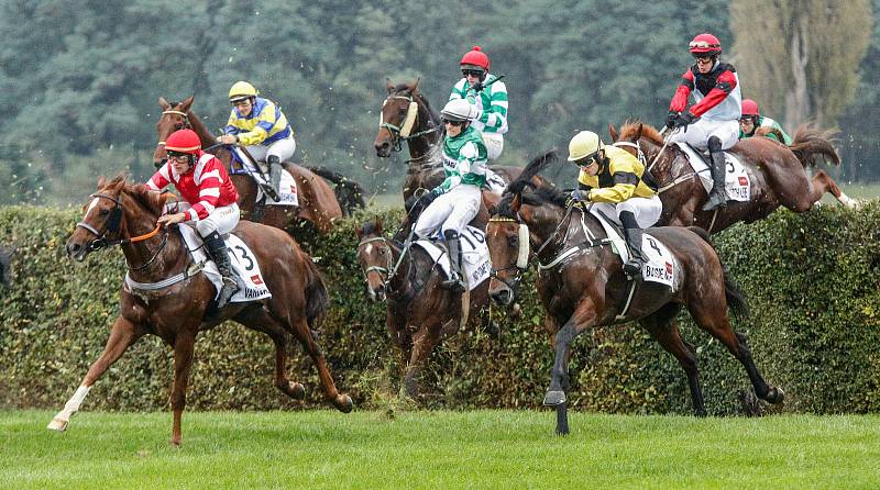 Hegnus s Lukášem Matuským zvítězili ve 130. Velké pardubické se Slavia pojišťovnou, která se konala před prázdnými tribunami na pardubickém dostihovém závodišti.