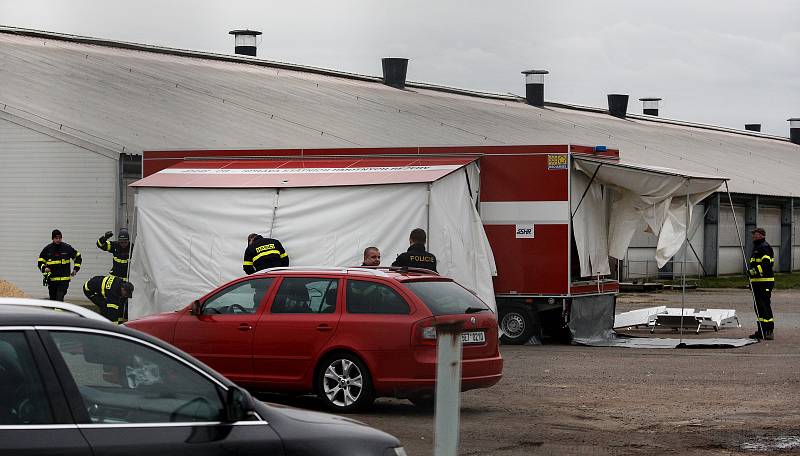 V Česku je druhé ohnisko ptačí chřipky. Nemoc se objevila v komerčním chovu Moras Moravany ve Slepoticích na Pardubicku.