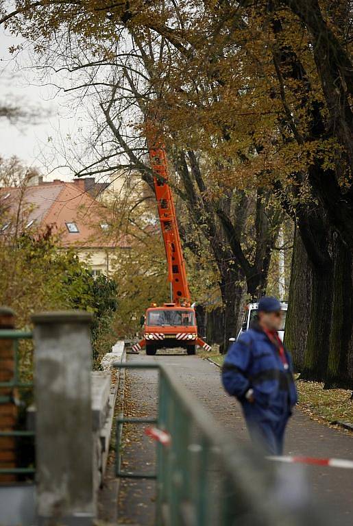 Ořezávání stromů na Sukově třídě