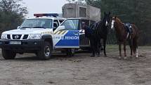 Nejen auta a moderní technika. Na maďarské hranici hlídkovali i policisté na koních.