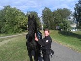 Splašeného Fríského koně odchytila strážník Irena Plačková 