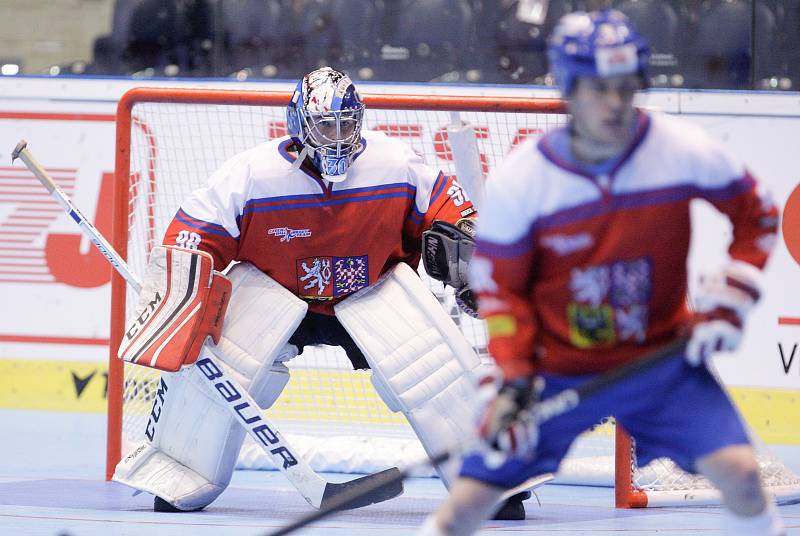 Hokejbalové utkání Mistrovství světa mezi Českou republikou a USA v pardubické Tipsport Aréně.