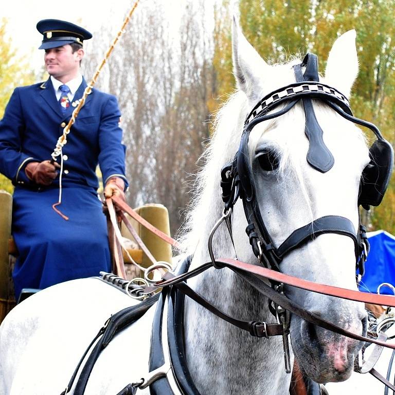 Koňská spřežení neodmyslitelně patří k dostihovému svátku