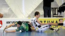 M&M reality Sokol Pardubice – GE-TRA Floorball club Liberec 2:5