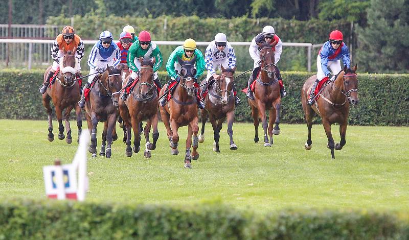 II. kvalifikace na 130. Velkou pardubickou se Slavia pojišťovnou na pardubickém dostihovém závodišti.