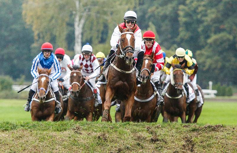 Hegnus s Lukášem Matuským zvítězili ve 130. Velké pardubické se Slavia pojišťovnou, která se konala před prázdnými tribunami na pardubickém dostihovém závodišti.