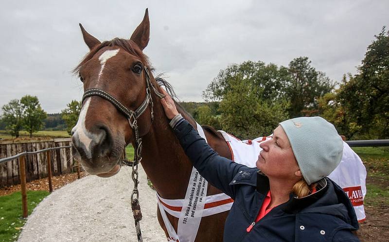 Trenérka vítěze Velké Pardubické Hana Kabelková