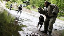 Bojové podmínky - výcvik psovodů se odehrával nejen na souši, ale také  přímo v řece.