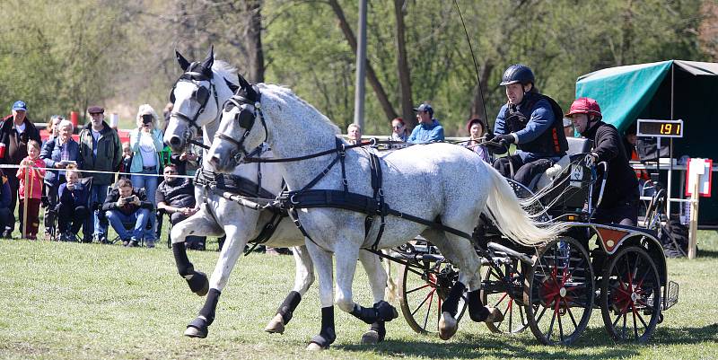 Mezinárodní závody spřežení Rudolfův pohár v Národním hřebčíně Kladruby nad Labem.