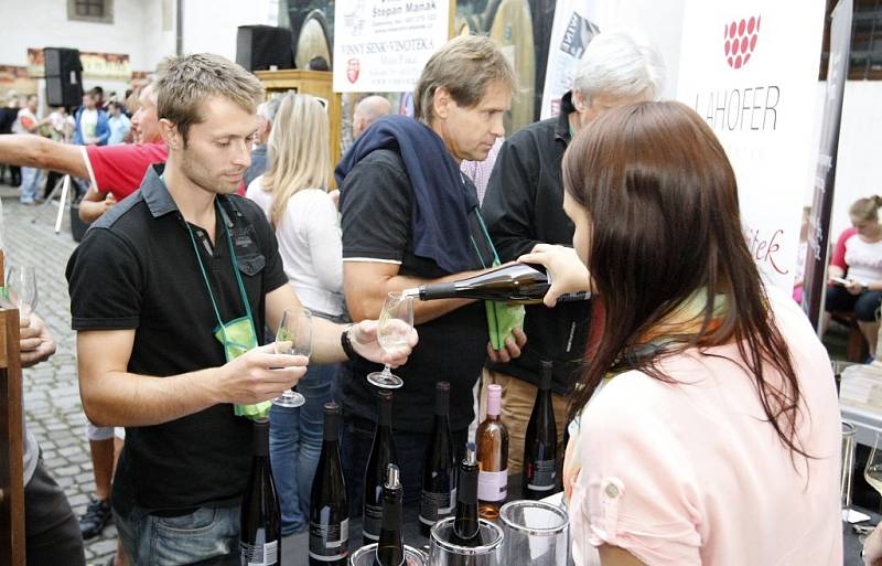 V historickém prostředí se sešlo přibližně šedesát vystavovatelů nejlepšího českého i zahraničního vína.
