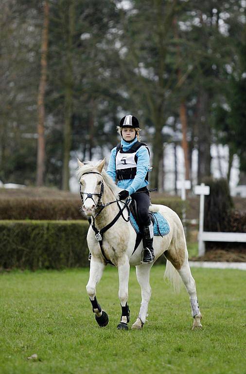 První akce sezony 2010 na pardubickém závodišti. Cena hejtmana Pardubického kraje ve všestrannosti. 