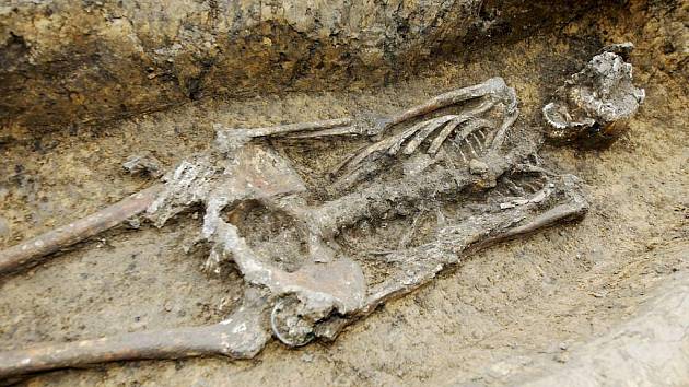 Archeologové v Mikulovicích odkryli hrob keltského muže